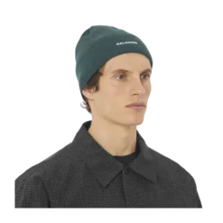 Beanie - Hue