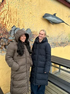 Puffer Parka, W - Dame Vinterjakke